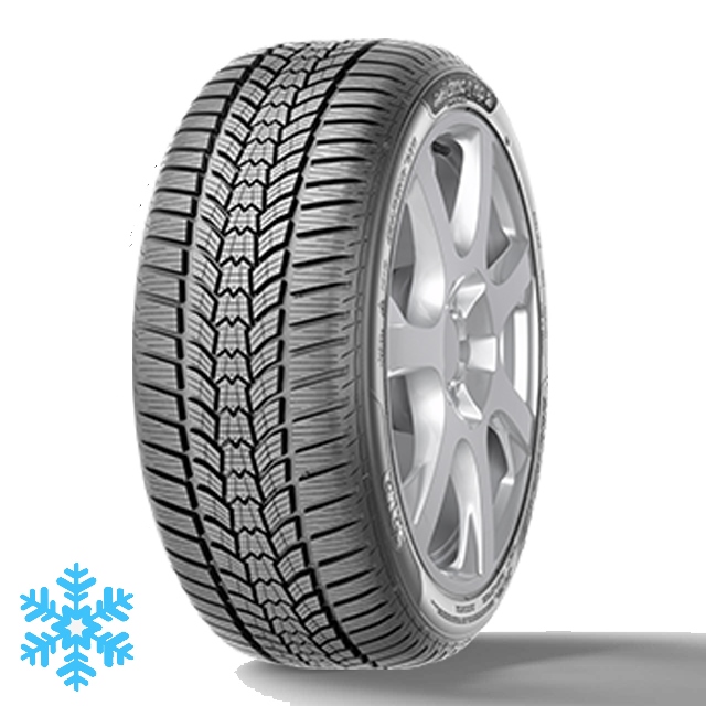 Sava Eskimo HP2 225/45R17